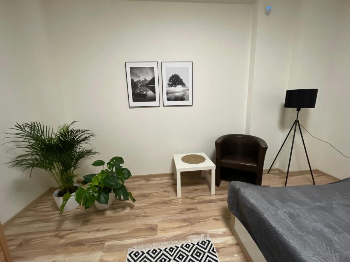 Trzciana Apartment