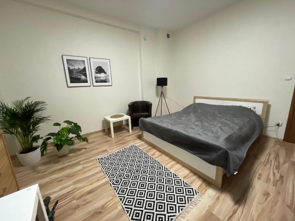 Trzciana Apartment